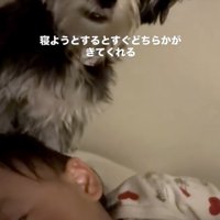 側に来てくれたマロンちゃん