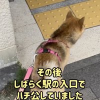 忠犬…！