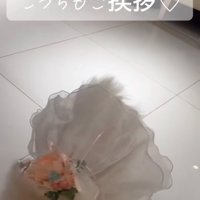 挨拶する犬