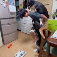 妹のシェリーニちゃんが…