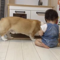 ちゃちゃにお渡し