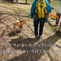 ご友人に会うために公園へ