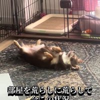 なんだか満足そう♪