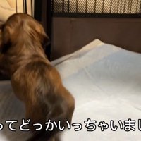 おもちゃを取られていじけるジャンボくん⑩