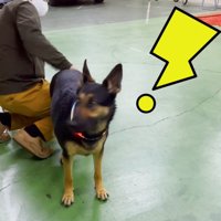 おしりをポンポンしたら…