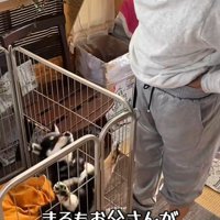 まろちゃんがやってきた