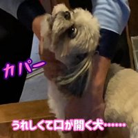 たっぷりナデナデしてくれました♡