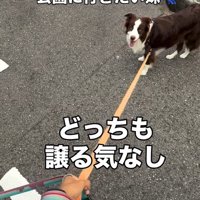 公園にいきたい りっかちゃん
