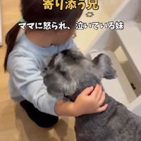 女の子に寄り添うこたろう君