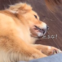 怒るイヴちゃん