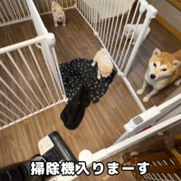 掃除機をかけ始めたら…