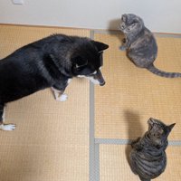 仲良し