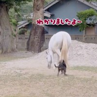 軽くあしらっても…