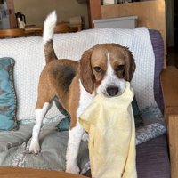 悪い雰囲気がプンプン…！