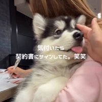 パパに内緒で家族に迎えることに