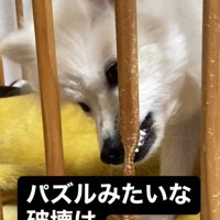 いたずらが豪快！！