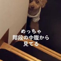家族のことが大好き