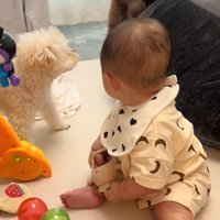 驚くからあげ君