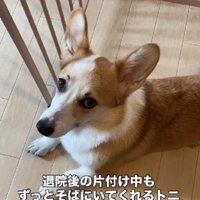 ずっと寄り添ってくれた