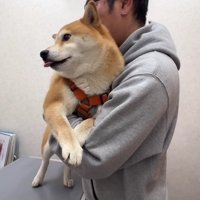 2匹を連れて動物病院へ