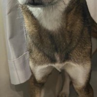 大きなオナラをしてしまった
