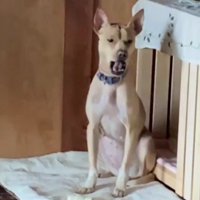 家族になることが決定！！