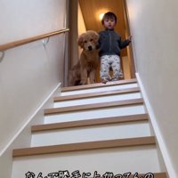 こっそり階段を登ったふたり