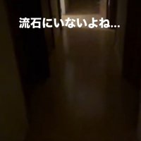 お出迎えはないかな？