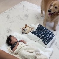 「私も一緒に寝たい！」