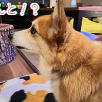 「シャンプー」の一言で暗い表情に
