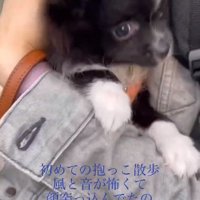 放心状態のレイくん