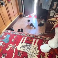 入ってきたパパを出迎える小型犬