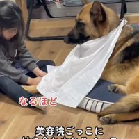 仲良しなのが伝わってきます