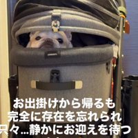 カートでおでかけしたプー太郎くん