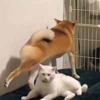 立ち上がってストレッチ