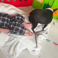 細心の注意を払いながら移動