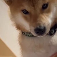 ほのぼのとしたひととき