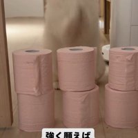 「お願い！通してください！」