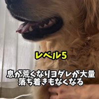 ドキドキが止まらない