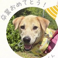 穏やかな暮らしを満喫中