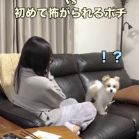 「全然分かんない！」
