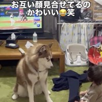 目と目で会話できちゃいます
