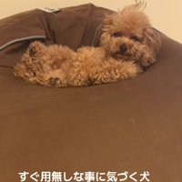 「えっなに？」