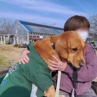 トロッコ列車に乗ってみたら…