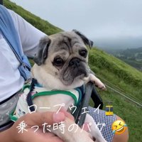 リフトに乗るデビちゃん3