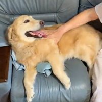 嬉しそうなりんちゃん