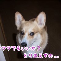 「お姉ちゃんと寝たいのに…」