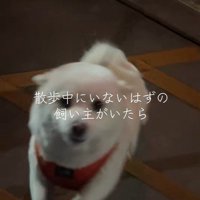 嬉しそうな姿が愛おしい♡