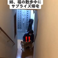 お姉ちゃんに気づいた福くん