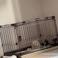 ピュアすぎるうるくん